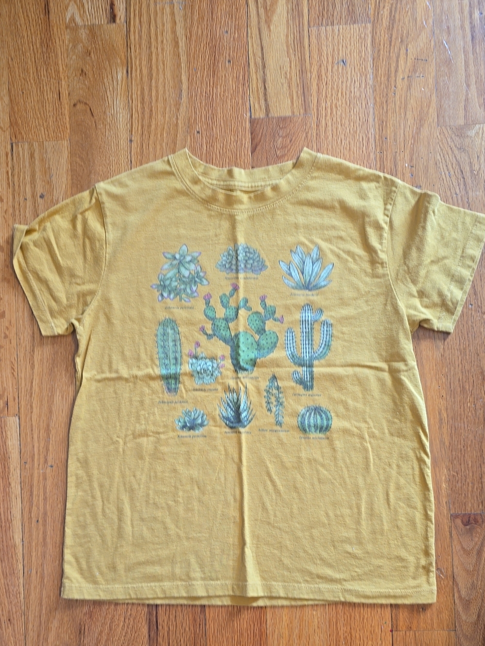 Fifth Sun Yellow Cactus & Succulent Graphic Tee